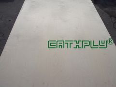 Birch Plywood, Poplar Plywood, Pine Plywood, Flooring Plywood